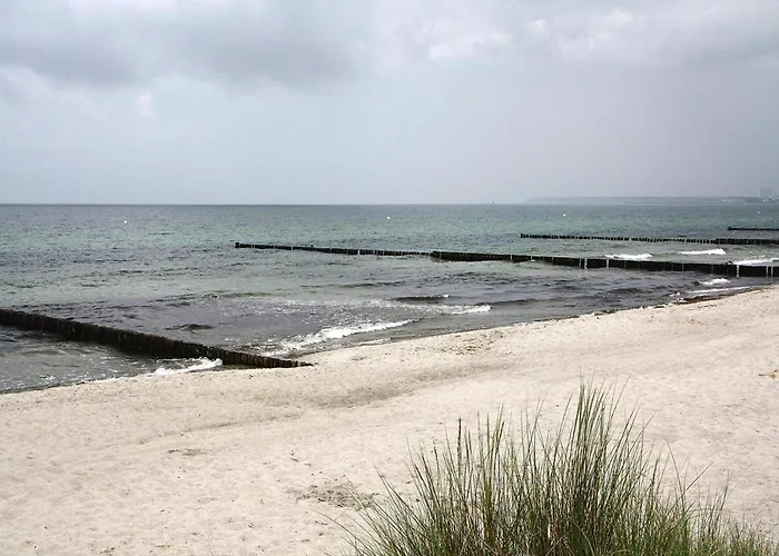 Holiday park Markgrafenheide Markgrafenheide - DOS05176-FYB Tatil Evi